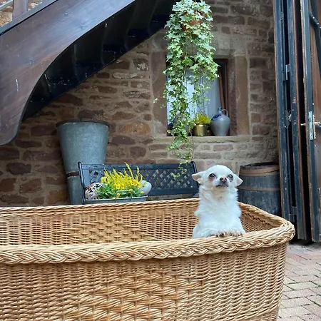 Relais Du Dompeter 4* Molsheim