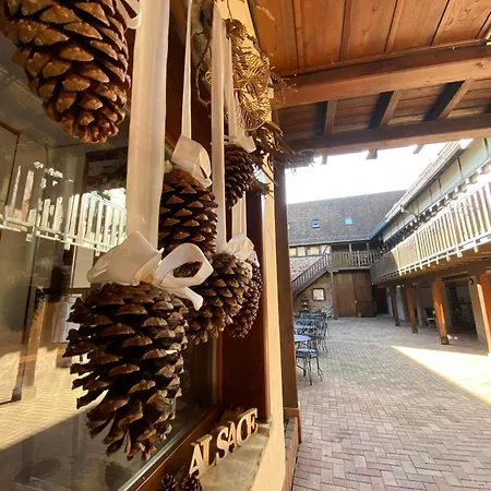 Relais Du Dompeter 4* Molsheim