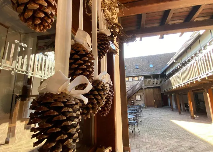 Relais Du Dompeter 4* 莫尔塞姆